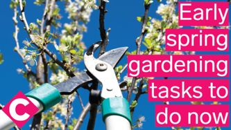 Early spring gardening tasks to do now