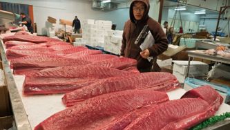 Why Canada’s seafood selection is so lousy, and costs so much