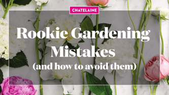 Rookie gardening mistakes and how to avoid them