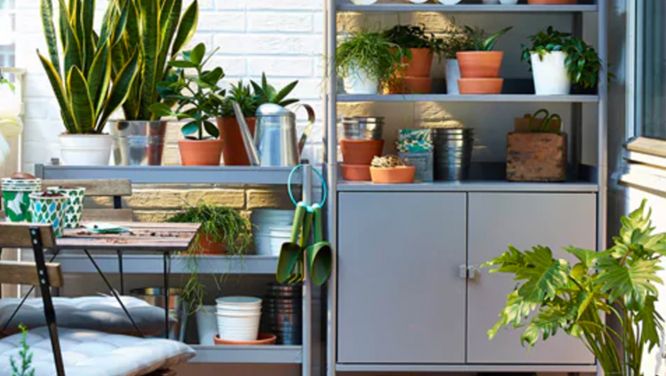 8 Easy Ways To Achieve A Beautiful Balcony Garden (And What To Plant)