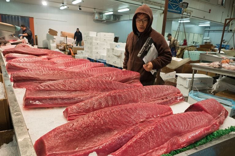 Yellowfin tuna is one of the coveted offerings at Blue Ribbon Fish Co. New York, NY (Zun Lee)