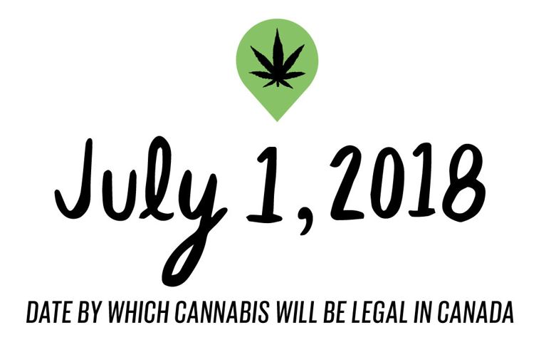 Parents who smoke pot: July 1, 2018 is the date by which cannabis will be legal in Canada
