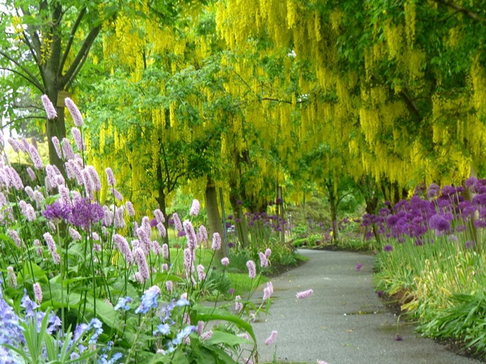 11 gorgeous botanical gardens to visit across Canada this summer