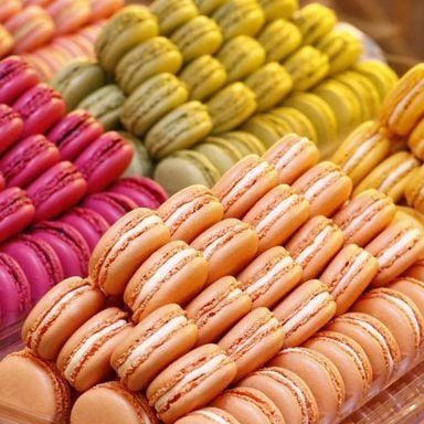 How To Make The Most Beautiful Macarons: A Step-By-Step Guide