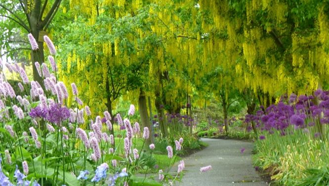11 gorgeous botanical gardens to visit across Canada this summer