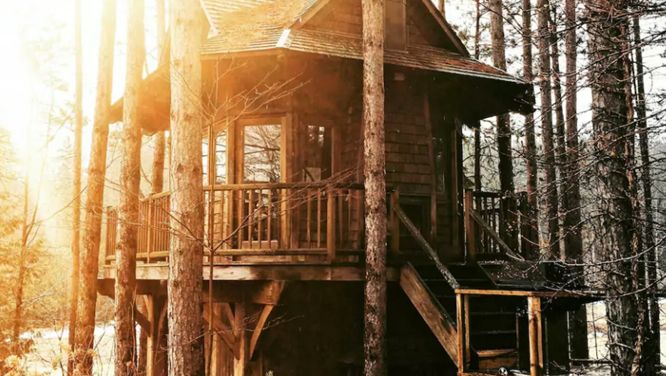 The 7 Best Airbnb Treehouses In Canada That Will Inspire A Last-Minute Summer Vacation