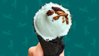 We Tried Cricket Ice Cream: After All, It's The Food Of The Future