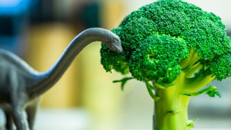 Plant Based Eating: It's Trending — But What Exactly Does It Mean?
