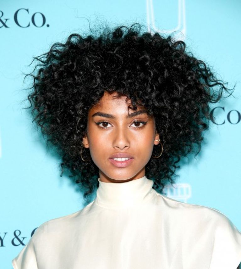 Imaan Hammam Rocking Natural Curls on the Red Carpet