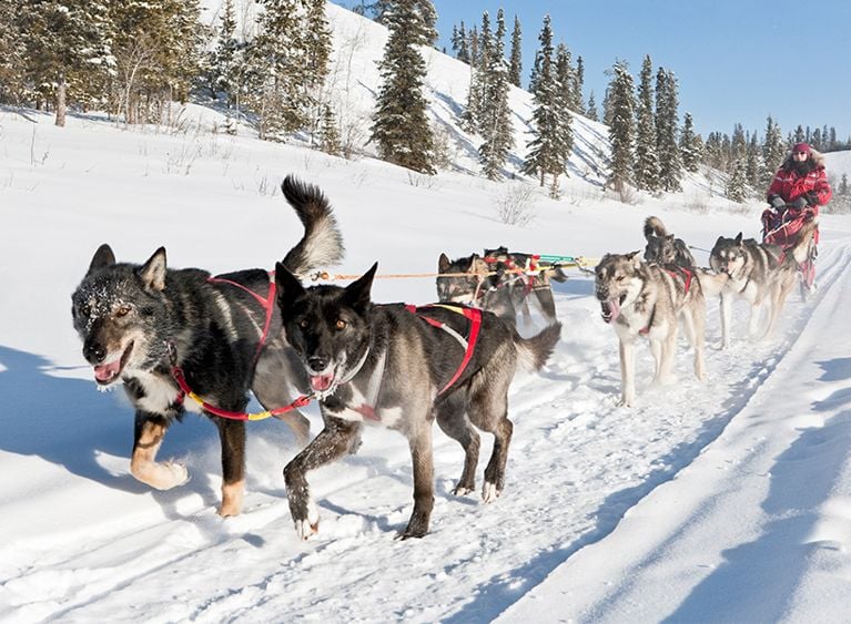 The Best Outdoor Winter Activities In Canada