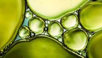 The Best And Worst Fats For Heart Health