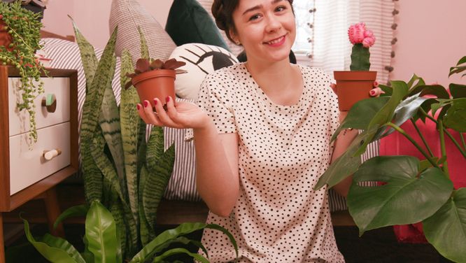How To Create A Plant-Filled Oasis In Your Home — For Under $100