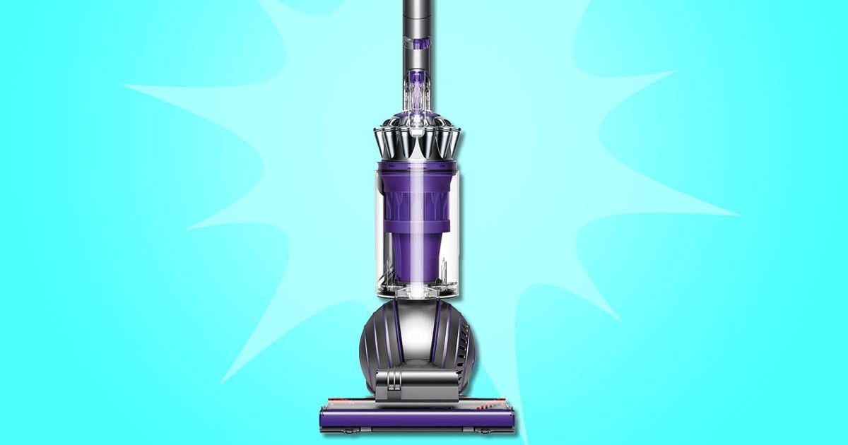 Mad Deals Of The Day 150 Off The Dyson Animal 2 Vacuum Chatelaine