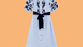 sachin and babi light blue dress Zara Dress main image 1