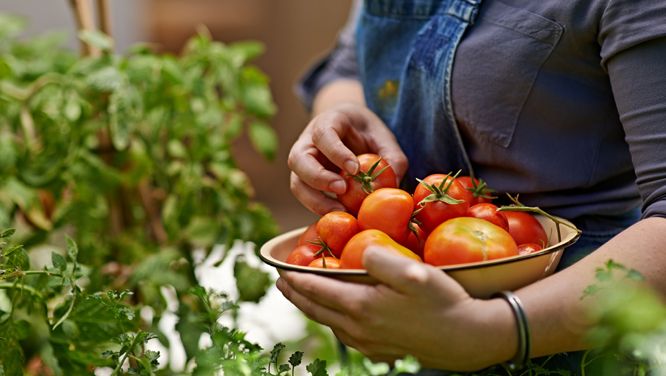 5 Super-Healthy Plants That Are Easy To Grow In Your Garden
