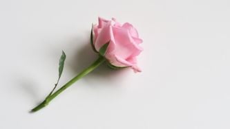 Why Appreciating Beauty Can Be Good For Your Mental Health