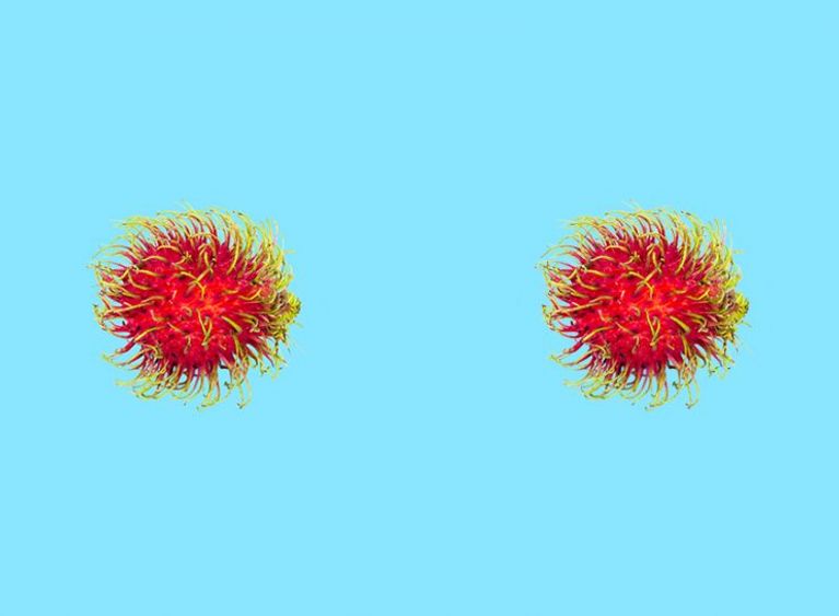 Nipple hair represented by two fluffy pom poms
