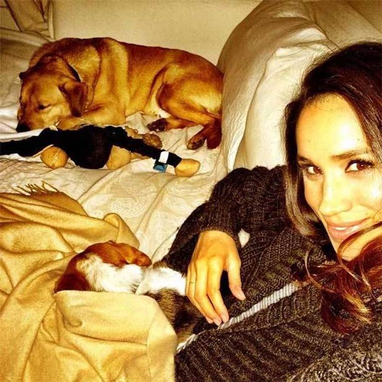 Meghan Markle and Prince Harry have adopted a labrador dog. Here, Meghan poses for a selfie with her two rescue dogs.