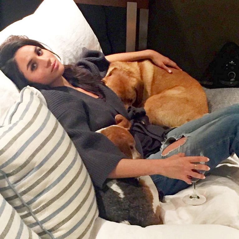 Meghan often shared photos with her rescue dogs, Bogart and Guy, on her now-shuttered Instagram.