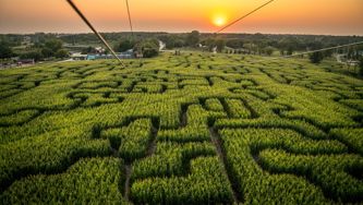 10 Of The Best Corn Mazes And Pumpkin Patches In Canada