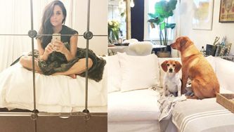 The Meghan Markle Guide To Home Décor