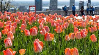 Spring Forecast 2019: What Environment Canada Says About The Return Of Warm Weather