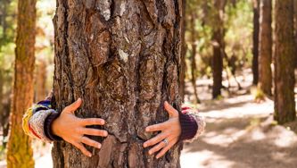 ‘I Care About The Planet. I Really Do’—Confessions Of An Eco-failure