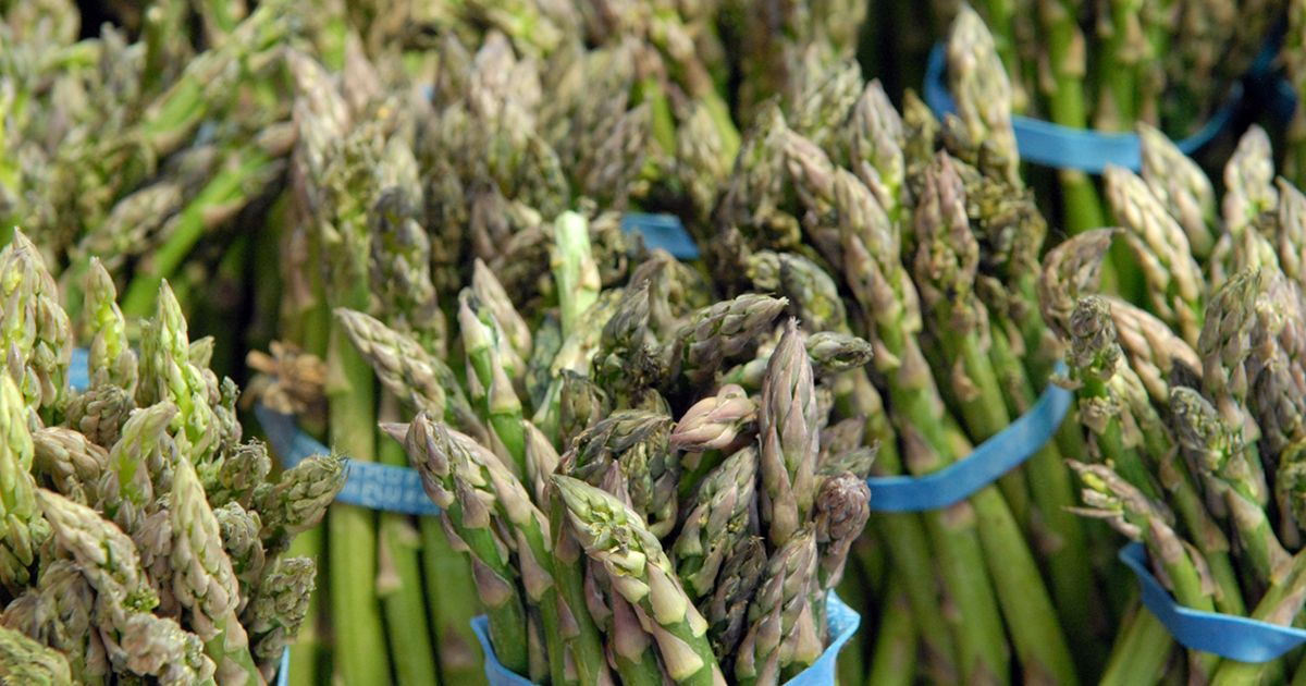 Why Does Asparagus Make Your Pee Smell Weird? Chatelaine