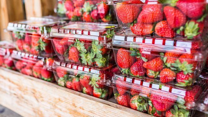 8 Money-Saving Ways To Reuse Single-Use Plastics