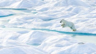 Canada's Arctic Ice is Melting Fast. Do We (Finally) Have a Plan to Save It?