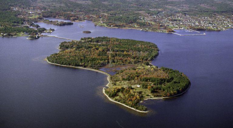 an overhead shot of a small island with lots of trees on blue water