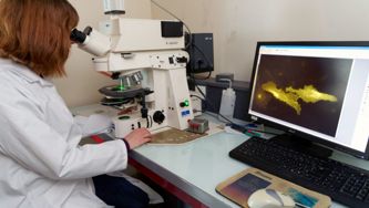 Common Coronavirus Questions, Answered