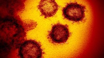 What Is A Pandemic—And How Can You Prepare For One?