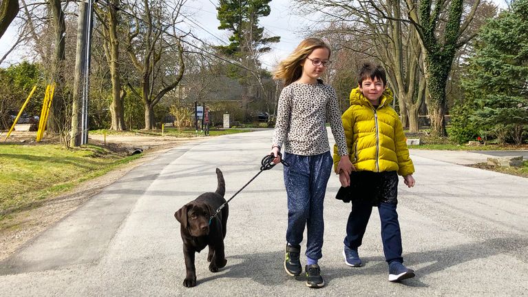 Isla Belton, 8 and Finn Belton, 5, walking four-month-old Timber near their home in Oakville