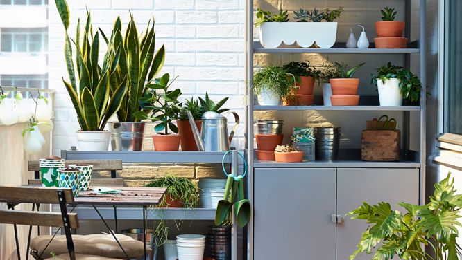 How To Keep Your Outdoor Space Tidy And Organized