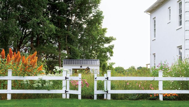 How To Plant Your Own Cutting Garden