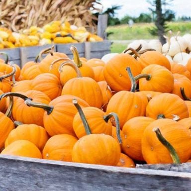 How To Make Pumpkin Purée: An Easy Recipe
