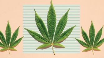 How To Navigate Canada’s Medical Cannabis Maze