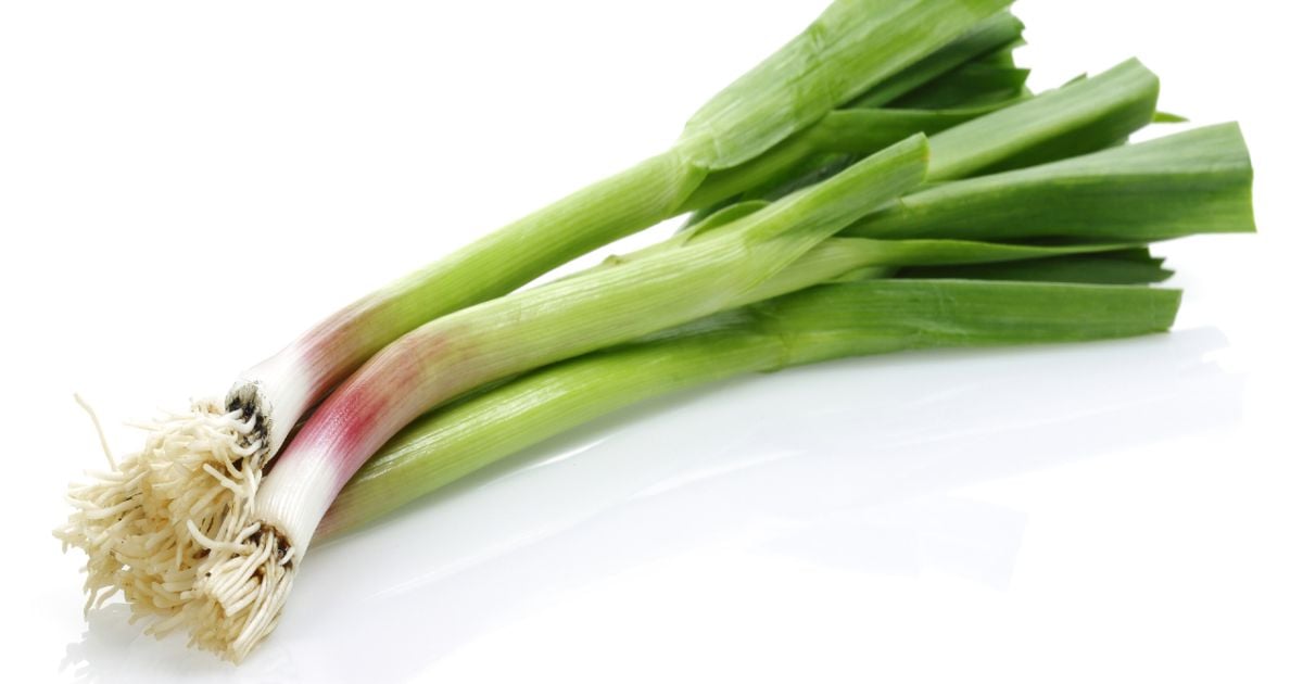 Everything You Need To Know About Green Garlic Chatelaine