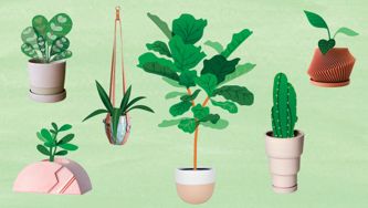 17 Cute Planters For Every Style And Budget