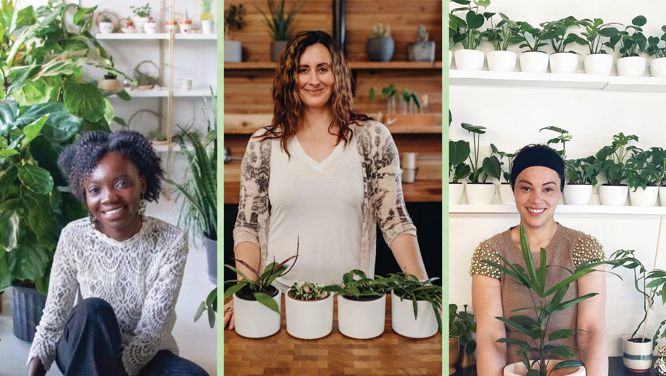 4 Women-Owned Plant Stores That Ship Across Canada