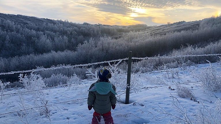 A small child in a snowsuit looks at a frozen fence and a wintry landscape