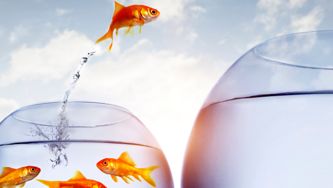The Pros And Cons Of Giving Up The Chase For My Dream Job