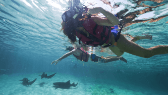 6 things to do the next time you visit the Dominican Republic