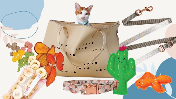 13 Made-In-Canada Accessories To Spoil Your Pets