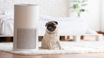 Can Air Purifiers Really Reduce Your COVID Risk?