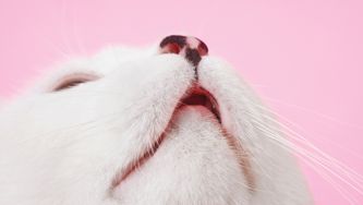 The Surprising Health Benefits Of Learning To Breathe Better