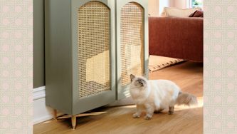 The Chicest Way To Hide Your Cat’s Litter Box