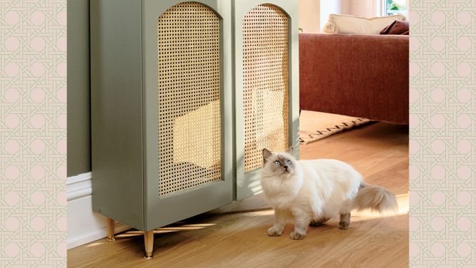 The Chicest Way To Hide Your Cat’s Litter Box