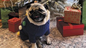 Five Tips For Taking Better Holiday Photos With Your Phone